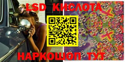 гидропоника Сланцы