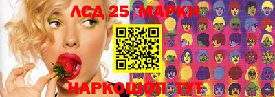 гидропоника Сланцы