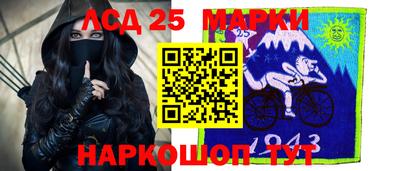 гидропоника Сланцы