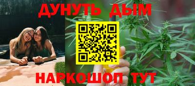 гидропоника Сланцы