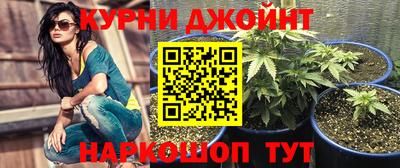 гидропоника Сланцы
